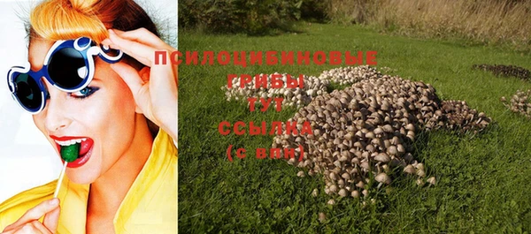 кокс Алзамай