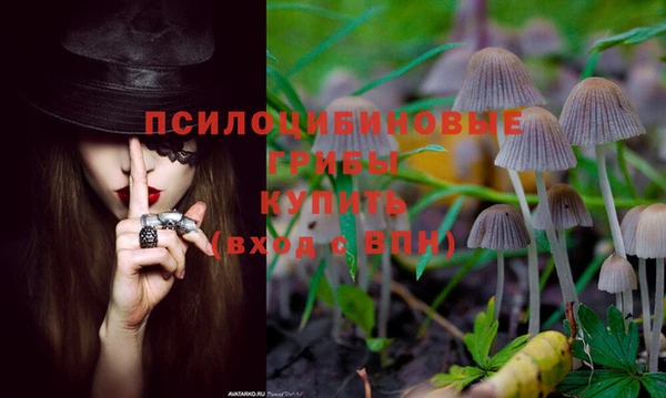 кокс Алзамай